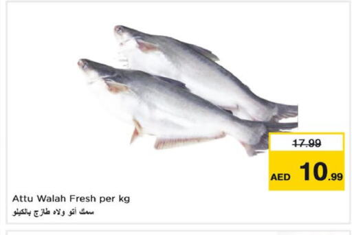  King Fish  in نستو هايبرماركت in الإمارات العربية المتحدة , الامارات - رَأْس ٱلْخَيْمَة