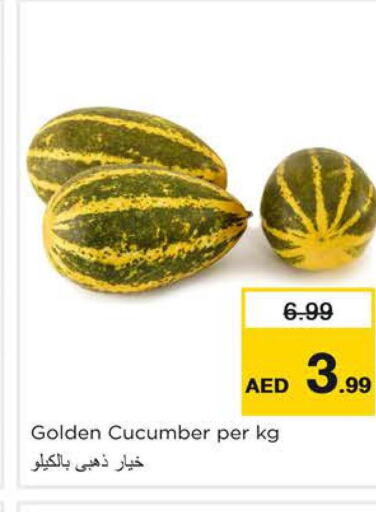  Cucumber  in نستو هايبرماركت in الإمارات العربية المتحدة , الامارات - الشارقة / عجمان