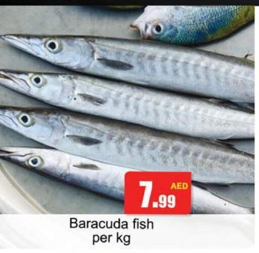  King Fish  in Gulf Hypermarket LLC in UAE - Ras al Khaimah