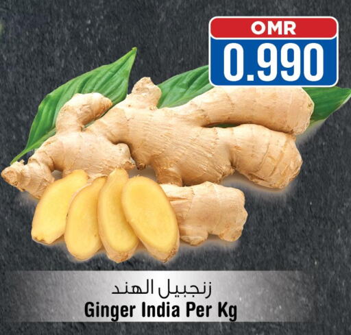  Ginger  in لاست تشانس in عُمان - مسقط‎