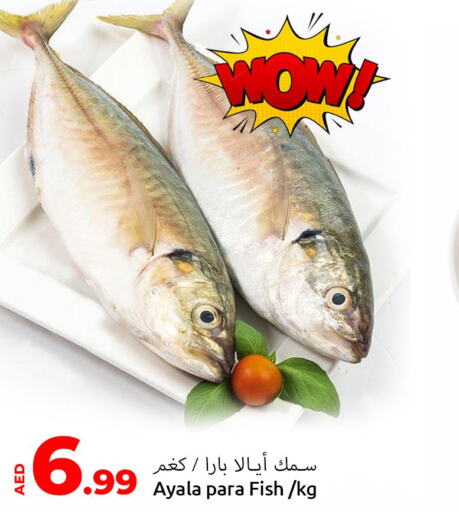  King Fish  in Mubarak Hypermarket Sharjah in UAE - Sharjah / Ajman