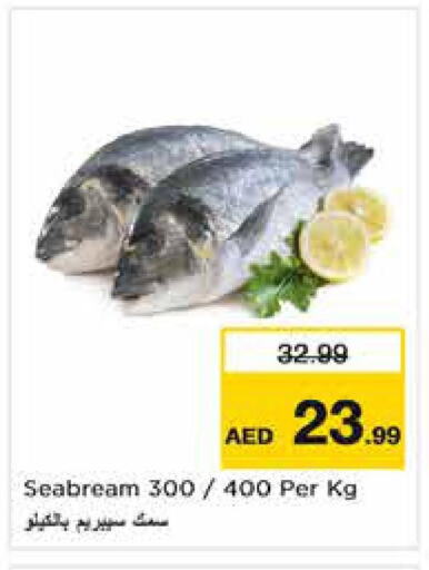  King Fish  in Nesto Hypermarket in UAE - Fujairah