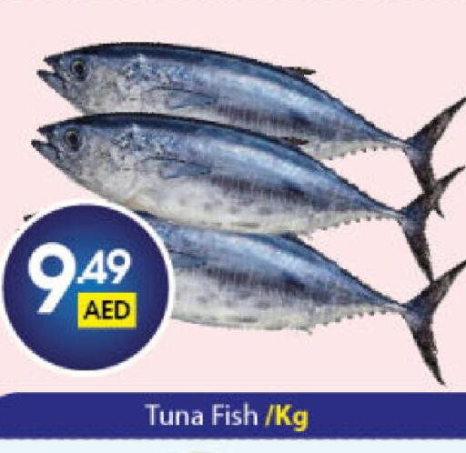  Tuna  in Al Ain Market in UAE - Sharjah / Ajman