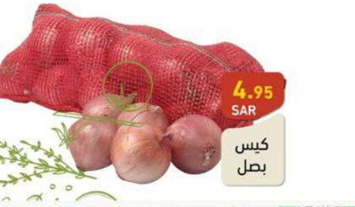  Onion  in أسواق رامز in مملكة العربية السعودية, السعودية, سعودية - تبوك