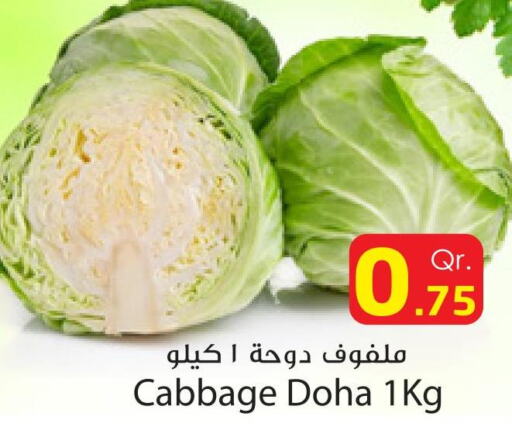  Cabbage  in Dana Express in Qatar - Al Khor