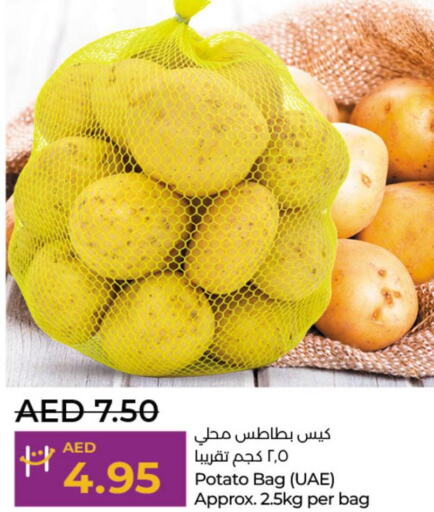  Potato  in لولو هايبرماركت in الإمارات العربية المتحدة , الامارات - ٱلْعَيْن‎
