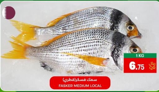  King Fish  in Village Markets  in Qatar - Doha