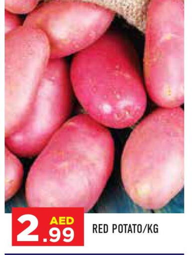  Potato  in سنابل بني ياس in الإمارات العربية المتحدة , الامارات - أبو ظبي