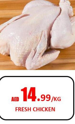  Fresh Chicken  in Gift Day Hypermarket in UAE - Sharjah / Ajman