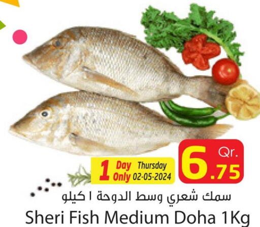 King Fish  in Dana Express in Qatar - Al Khor