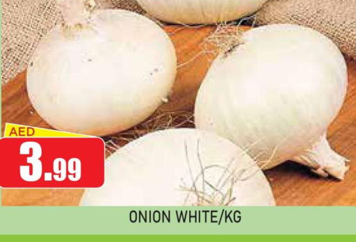  White Onion  in Ain Al Madina Hypermarket in UAE - Sharjah / Ajman