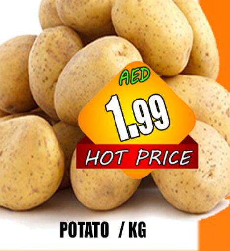  Potato  in هايبرماركت مجستك بلس in الإمارات العربية المتحدة , الامارات - أبو ظبي
