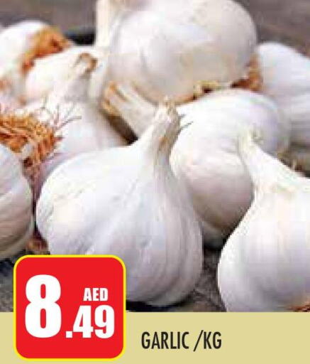  Garlic  in Baniyas Spike  in UAE - Abu Dhabi