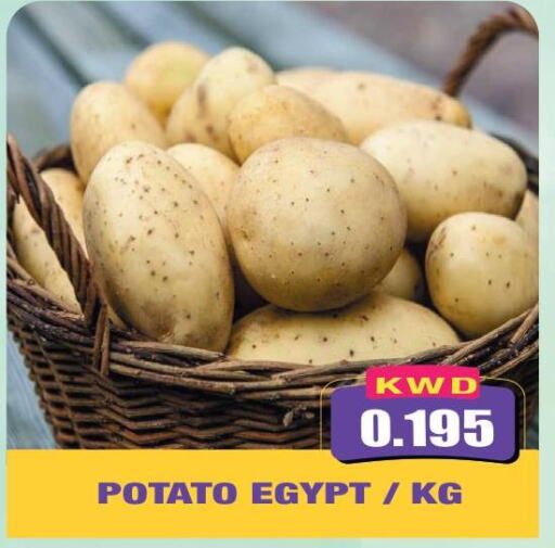  Potato  in أوليف هايبر ماركت in الكويت - مدينة الكويت