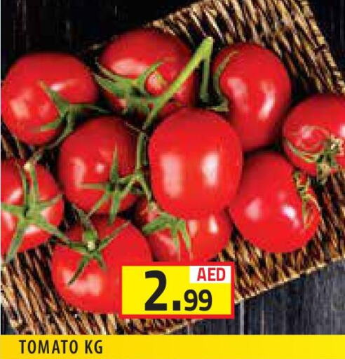  Tomato  in Baniyas Spike  in UAE - Sharjah / Ajman