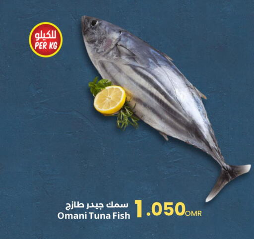  Tuna  in مركز سلطان in عُمان - مسقط‎