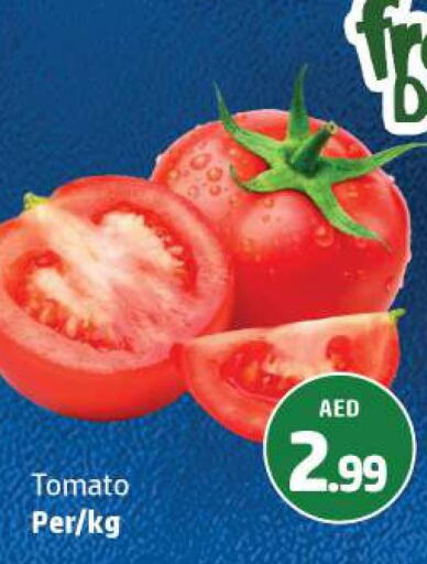  Tomato  in الحوت  in الإمارات العربية المتحدة , الامارات - رَأْس ٱلْخَيْمَة