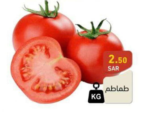  Tomato  in Aswaq Ramez in KSA, Saudi Arabia, Saudi - Dammam