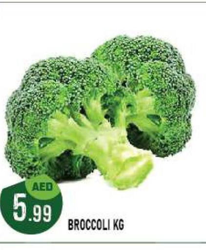  Broccoli  in أزهر المدينة هايبرماركت in الإمارات العربية المتحدة , الامارات - أبو ظبي