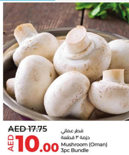  Mushroom  in لولو هايبرماركت in الإمارات العربية المتحدة , الامارات - دبي
