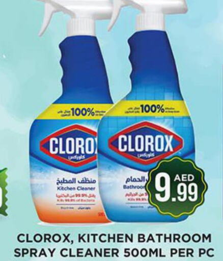 CLOROX Toilet / Drain Cleaner  in اينس المدينة هايبرماركت in الإمارات العربية المتحدة , الامارات - الشارقة / عجمان