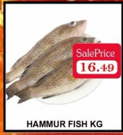  King Fish  in Carryone Hypermarket in UAE - Abu Dhabi