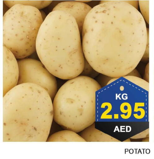 Potato  in Bismi Wholesale in UAE - Dubai