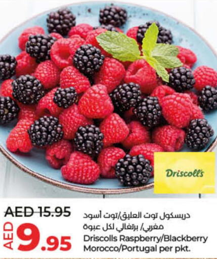  Berries  in لولو هايبرماركت in الإمارات العربية المتحدة , الامارات - دبي
