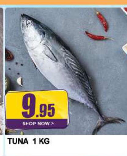 Tuna  in Azhar Al Madina Hypermarket in UAE - Sharjah / Ajman