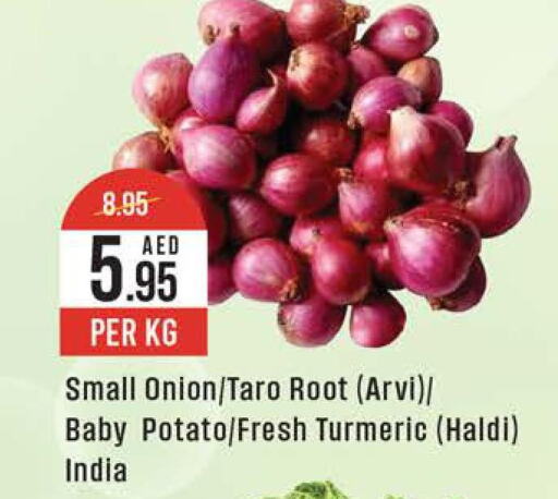  Onion  in ويست زون سوبرماركت in الإمارات العربية المتحدة , الامارات - دبي