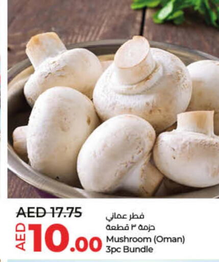  Mushroom  in لولو هايبرماركت in الإمارات العربية المتحدة , الامارات - دبي
