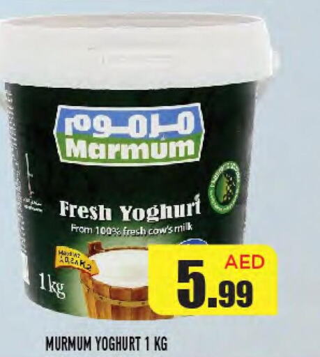 MARMUM Yoghurt  in سنابل بني ياس in الإمارات العربية المتحدة , الامارات - أم القيوين‎
