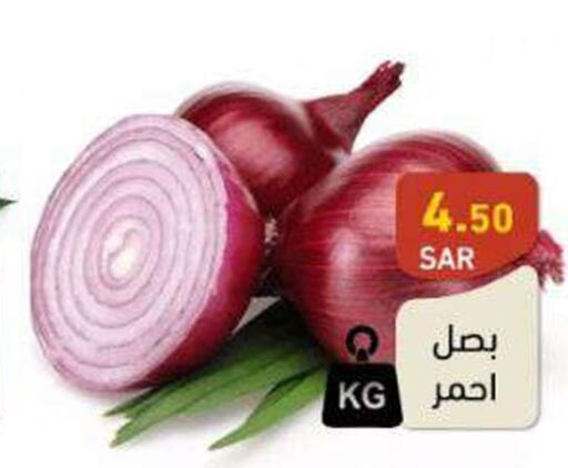  Onion  in Aswaq Ramez in KSA, Saudi Arabia, Saudi - Riyadh