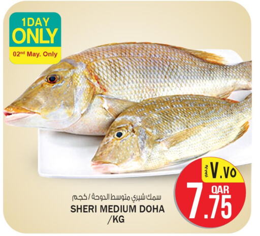  King Fish  in Saudia Hypermarket in Qatar - Al Khor