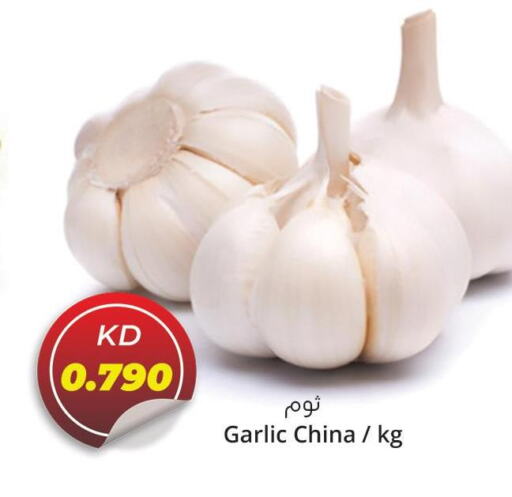  Garlic  in 4 SaveMart in Kuwait - Kuwait City
