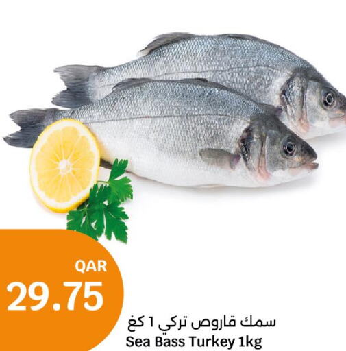  King Fish  in City Hypermarket in Qatar - Al Khor