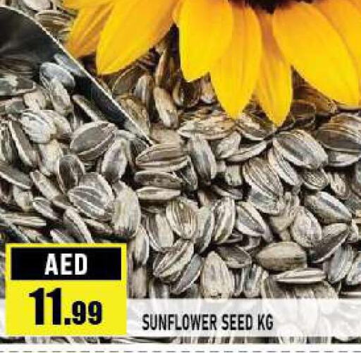  in Azhar Al Madina Hypermarket in UAE - Abu Dhabi