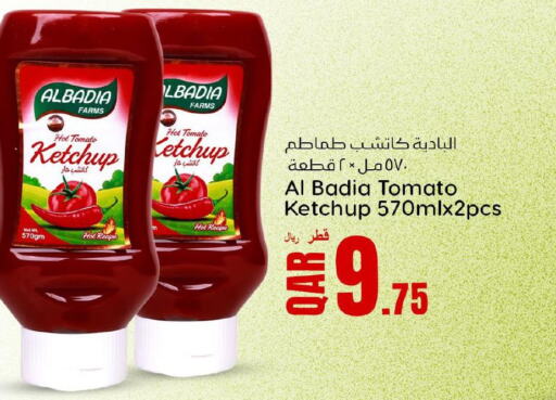  Tomato Ketchup  in Dana Hypermarket in Qatar - Al Wakra