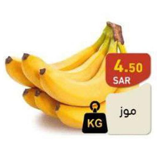  Banana  in أسواق رامز in مملكة العربية السعودية, السعودية, سعودية - حفر الباطن