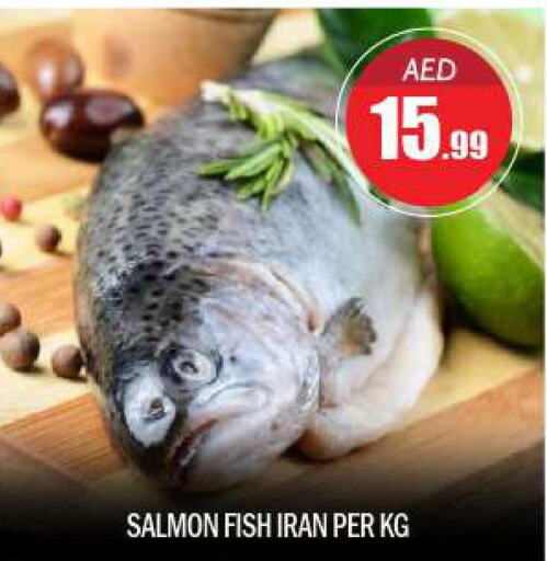  King Fish  in بيج مارت in الإمارات العربية المتحدة , الامارات - أبو ظبي