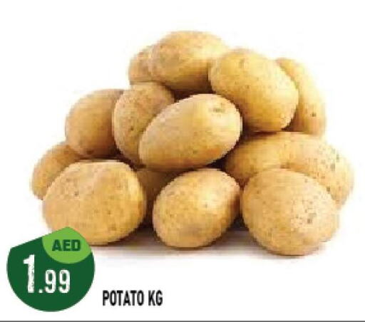  Potato  in أزهر المدينة هايبرماركت in الإمارات العربية المتحدة , الامارات - أبو ظبي