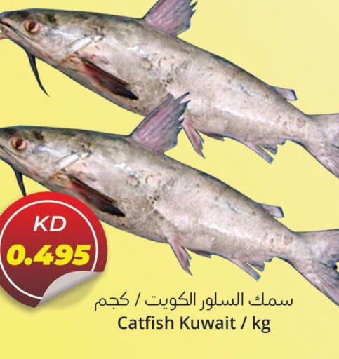  in 4 SaveMart in Kuwait - Kuwait City