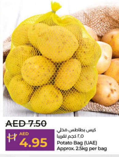  Potato  in لولو هايبرماركت in الإمارات العربية المتحدة , الامارات - رَأْس ٱلْخَيْمَة
