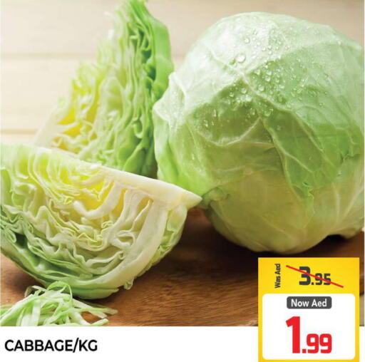  Cabbage  in المدينة in الإمارات العربية المتحدة , الامارات - الشارقة / عجمان