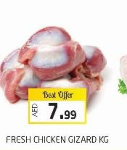  Fresh Chicken  in Fresh Spike Supermarket in UAE - Dubai