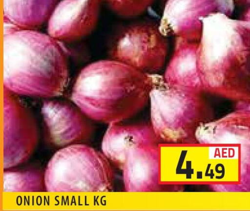  Onion  in سنابل بني ياس in الإمارات العربية المتحدة , الامارات - أبو ظبي