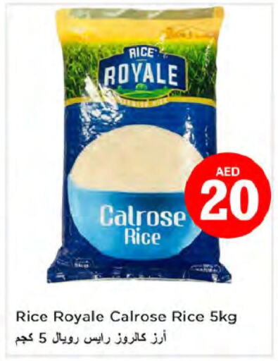  Egyptian / Calrose Rice  in Nesto Hypermarket in UAE - Dubai