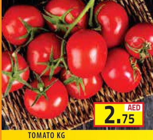  Tomato  in Baniyas Spike  in UAE - Abu Dhabi