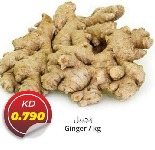  Ginger  in 4 SaveMart in Kuwait - Kuwait City