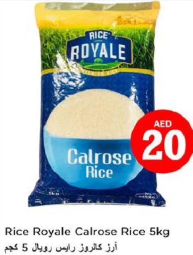  Egyptian / Calrose Rice  in نستو هايبرماركت in الإمارات العربية المتحدة , الامارات - أبو ظبي